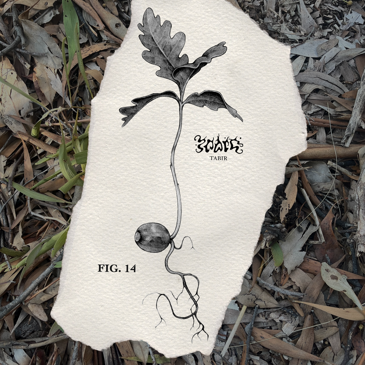 FIG. 14