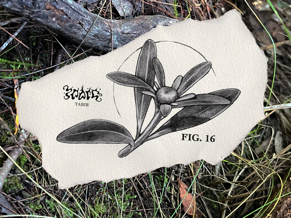 FIG. 16