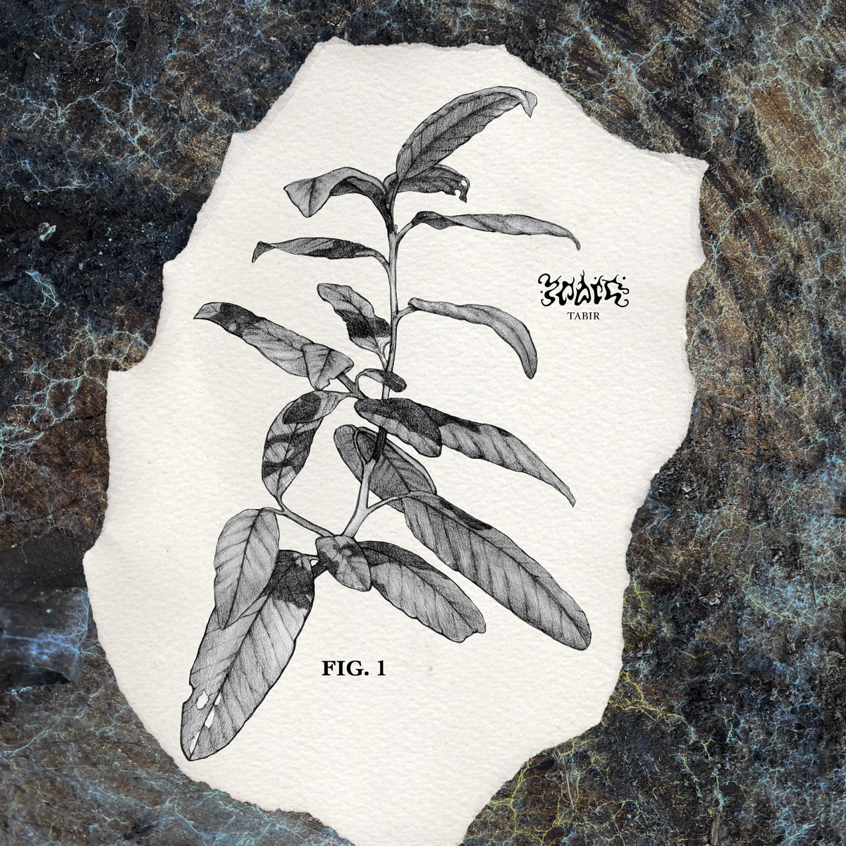 FIG. 1
