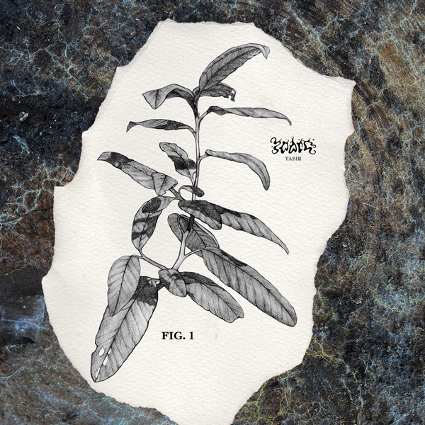 FIG. 1