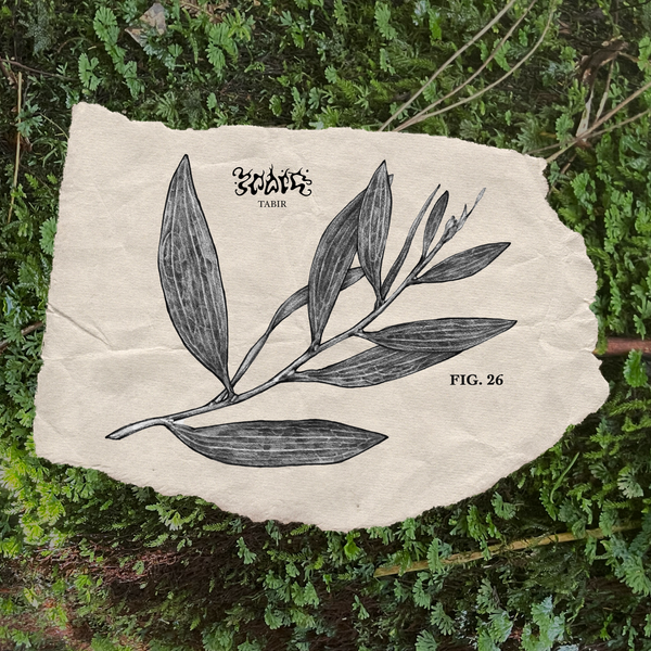 FIG. 26