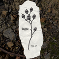 FIG. 47