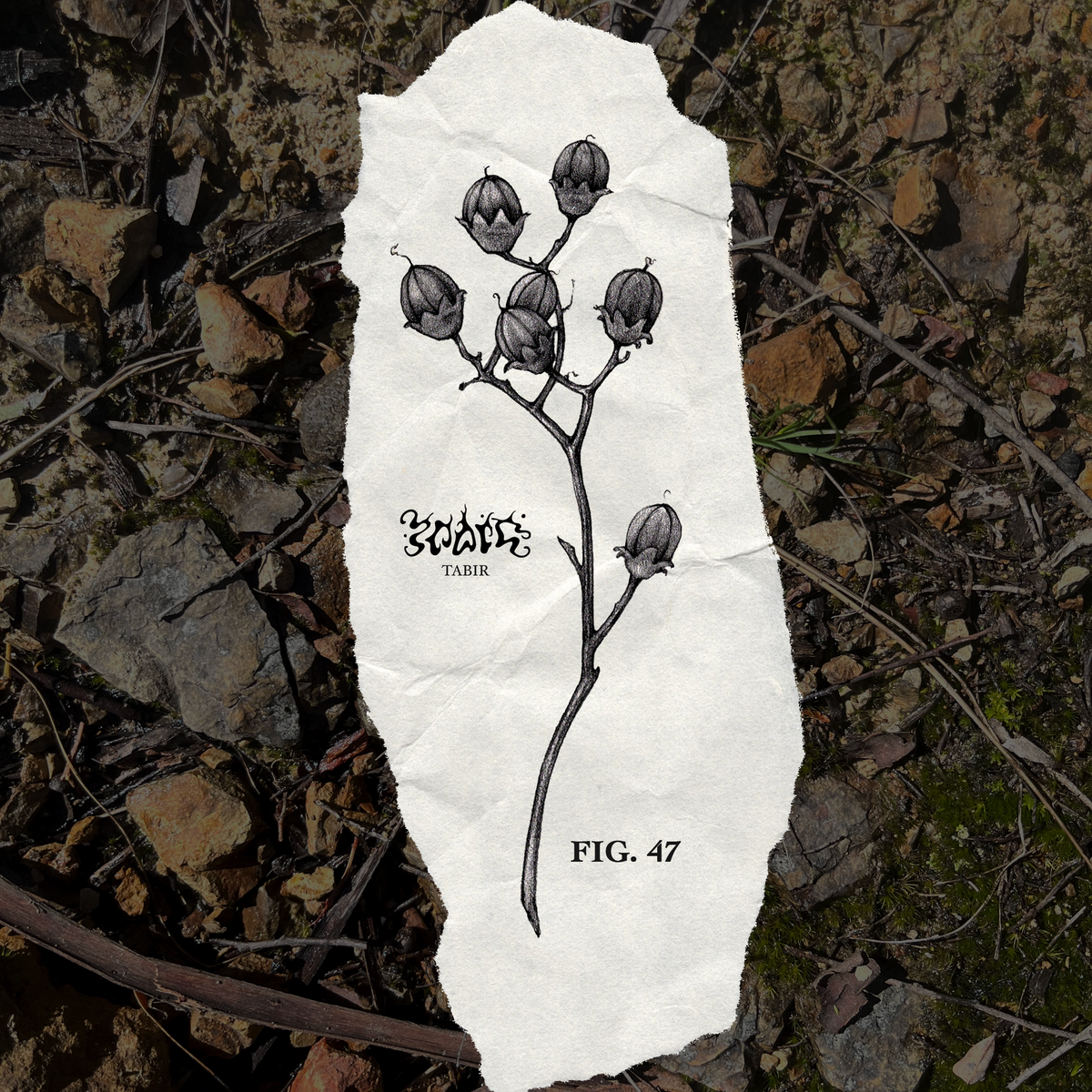 FIG. 47