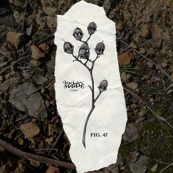 FIG. 47
