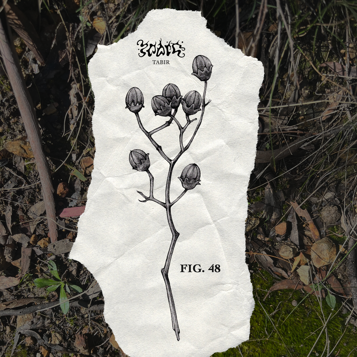 FIG. 48