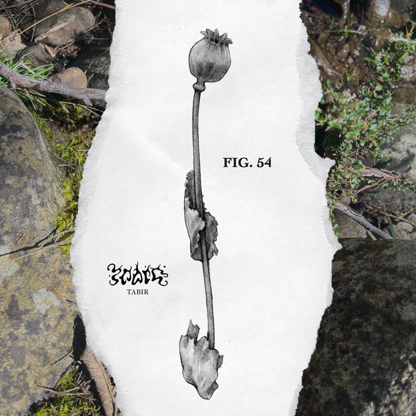 FIG. 54